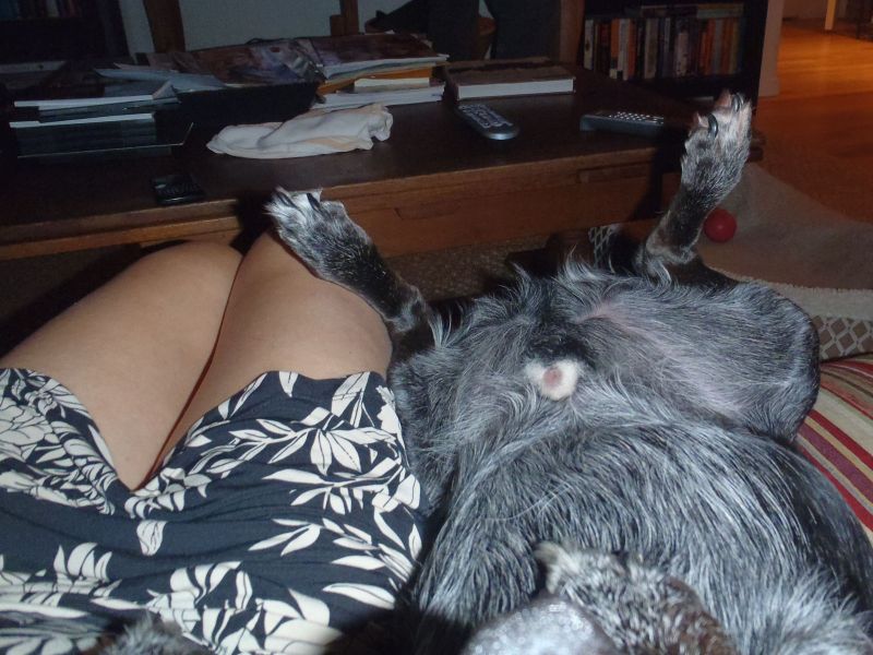 2011_07_16_-_005_-_Olympus_6020.JPG