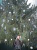 2012_12_22_-_033_-_Nikon_D70.JPG